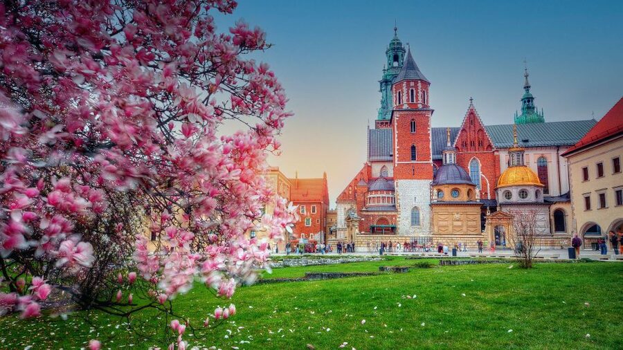 Wawel Hill Tour with Audio Guide - Walking Kanonicza Street To Herbowa Gate