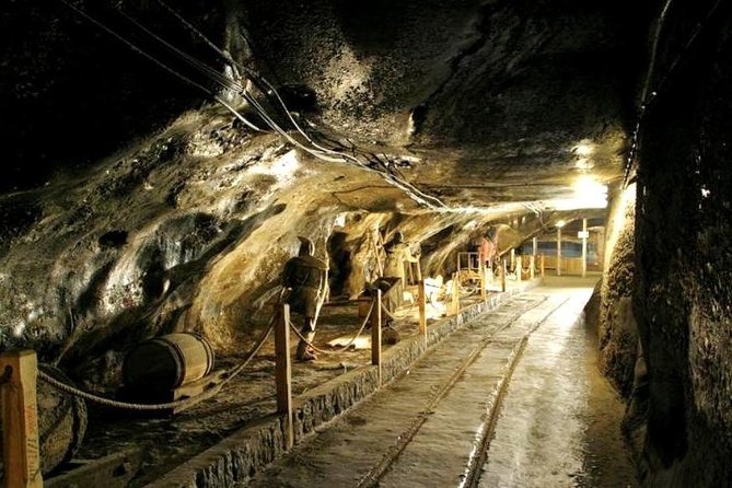 Wieliczka Salt Mine Guided tour from Krakow with a private car - At the mine entrance, tickets reduce the fuss