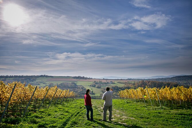 Wieliczka Vineyard: Wine tasting with local snacks - Key points about the Wieliczka wine tasting