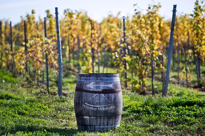 Wieliczka Vineyard: Wine tasting with local snacks - Four wines, seasonal snacks, and a useful introduction