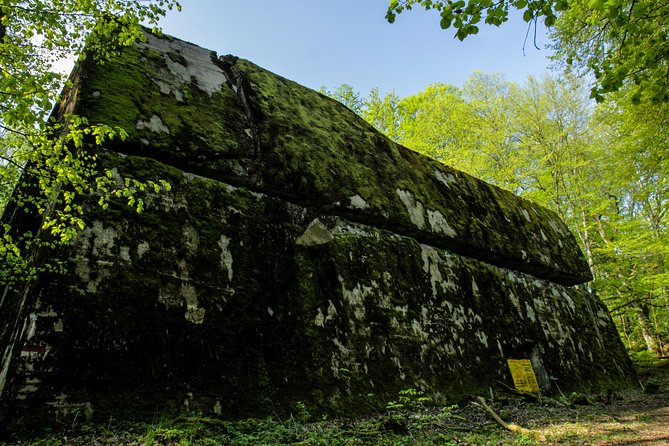 Wolf’s Lair Private Day Trip from Warsaw - Walking through Wilczy Szaniec