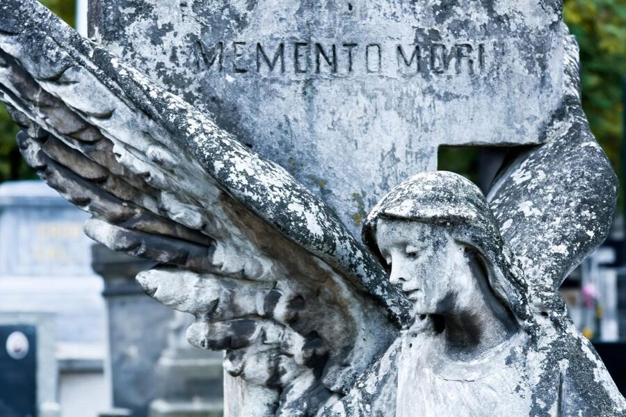 World War II Warsaw Old Town, Military Cemetery Walking Tour - Start at the Warsaw Mermaid and Market Square