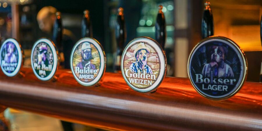 Wroclaw: Guided Tour & Beer Tasting (2 hours) - The Old Town Hall and Market Square