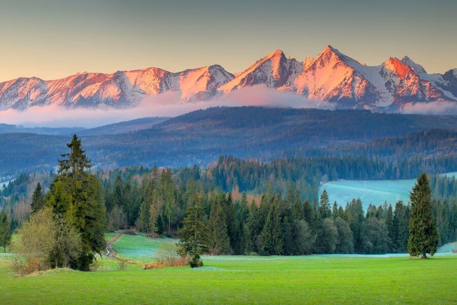 Zakopane and Chocholow Thermal Baths Tour from Krakow - Krupowki Street, shopping, and free time