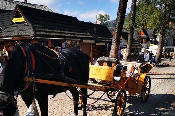 Zakopane Funicular Hill & Thermal Springs regular tour - Why this Krakow day trip works
