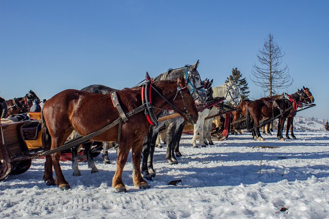 Zakopane Horse-Drawn Rides with Local Guide and Food Tasting - Getting from your hotel to Chocholow