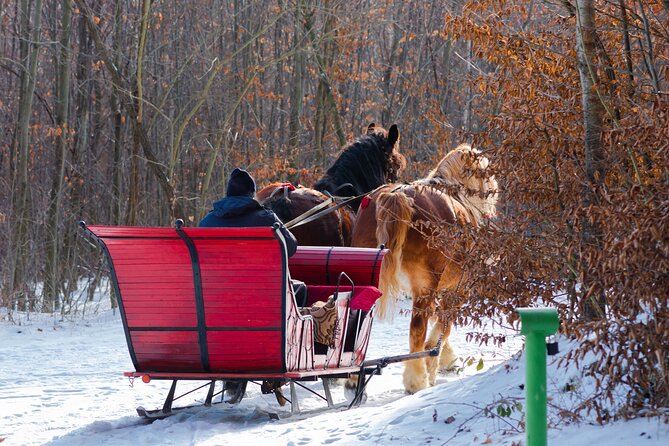 Zakopane Horse-Drawn Rides with Local Guide and Food Tasting - Bonfire food with oscypek and sausages