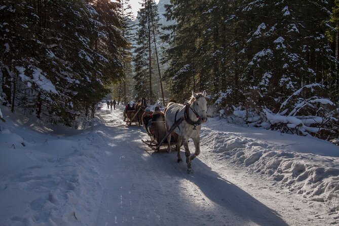 Zakopane Horse-Drawn Rides with Local Guide and Food Tasting - The driver and small-group feel