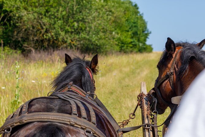 Zakopane Horse-Drawn Rides with Local Guide and Food Tasting - Value in practical terms