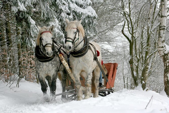 Zakopane Horse-Drawn Rides with Local Guide and Food Tasting - The Chocholow ride, winter sleigh or summer carriage