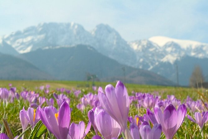 Zakopane & Tatra Mountains - Chocholow’s wooden homes and old village character