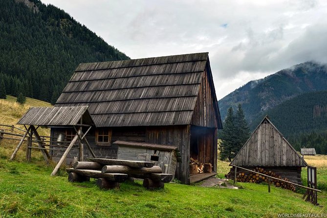 Zakopane & Thermal Springs: Private Tour - What the private format is really worth
