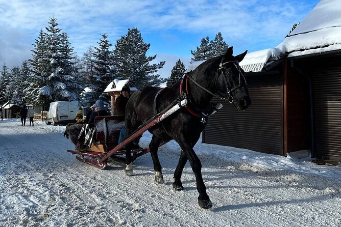 Zakopane Tour from Krakow with Thermal SPA and Hotel Pick up - Why this Krakow to Zakopane day trip works